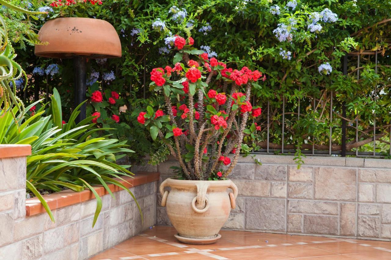 B&B Villa Carmen SantʼAlessio Siculo Exteriör bild
